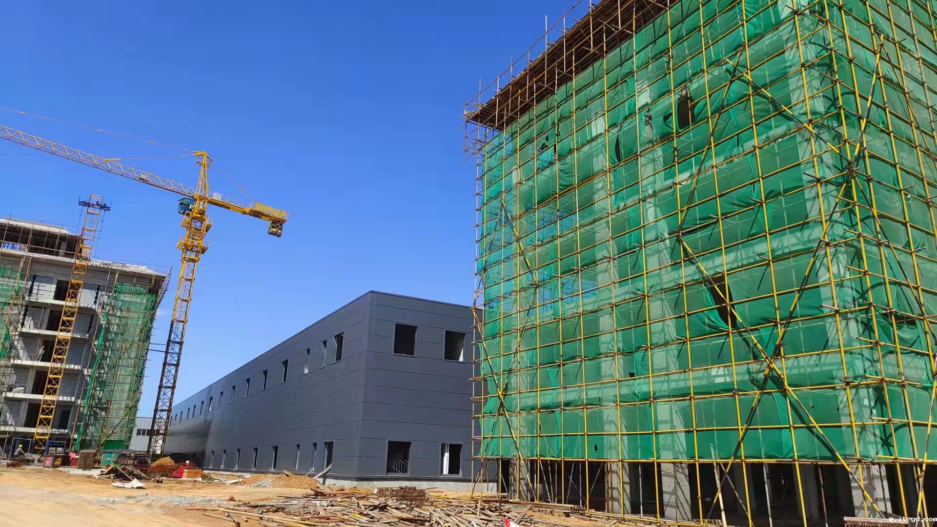 HONB new plant B.jpg