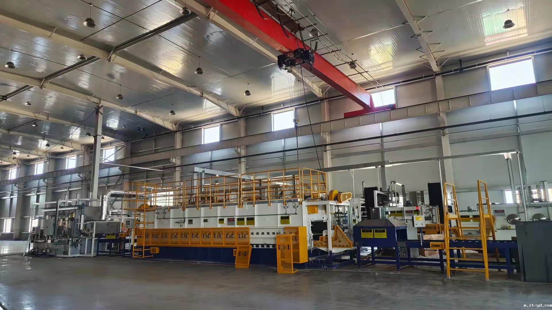 HONB new plant C.jpg